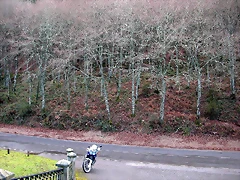 DSCN7176 DSCN7176
