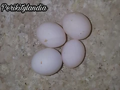 PicsArt_07-29-08.10.54