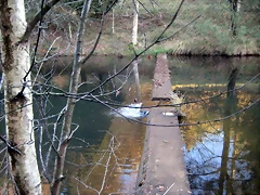 IMG_0526 IMG_0526