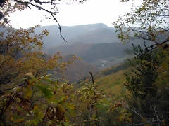DSCN0795 DSCN0795