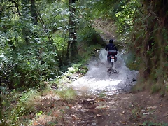 DSCN9748 DSCN9748