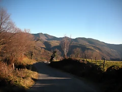 DSCN2394 DSCN2394