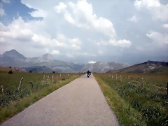 DSCN3561 DSCN3561