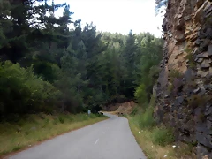 DSCN4082 DSCN4082
