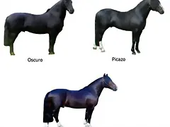 pelajes_de_caballos pelajes_de_caballos