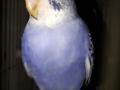 20180918_205419 20180918_205419