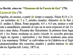 manzano cuesta de gos diego