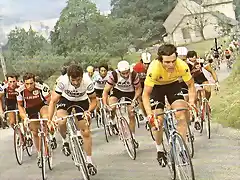 DAULPHINE 1977-HINAULT-VAN IMPE.