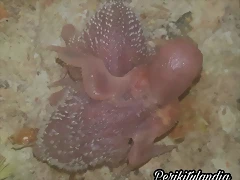 FB_IMG_1539980198854