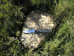 P5041408