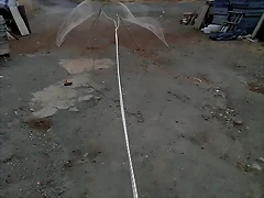 VID-20130928-WA0005_0000000333