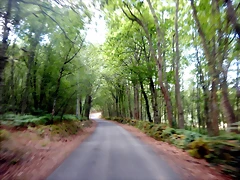 DSCN7774 DSCN7774