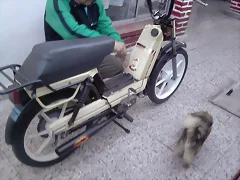 recien comprada jaja