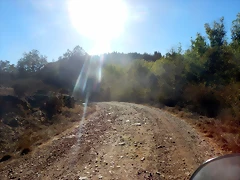 DSCN8884 DSCN8884