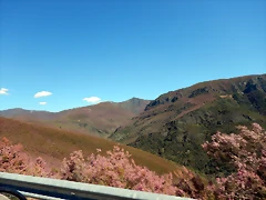 DSCN9444 DSCN9444