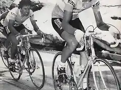 CONTINI,PRIM,GIRO,1982