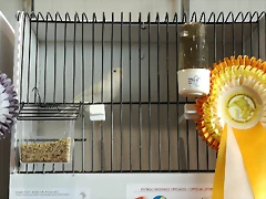 IMG_20170122_123716 IMG_20170122_123716