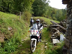 DSCN9688 DSCN9688