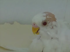 02052011577