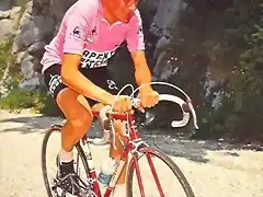 POLLENTIE,GIRO 1977