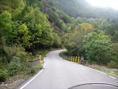 IMG_0401 IMG_0401