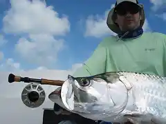 Roques 2011 - tarpon3