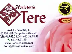 floristeria tere mejorada