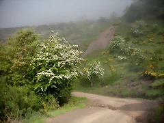 DSCN8086 DSCN8086