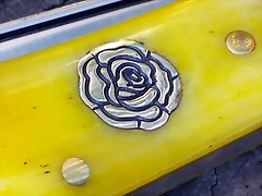 11 Rosa