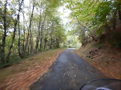 DSCN8746 DSCN8746
