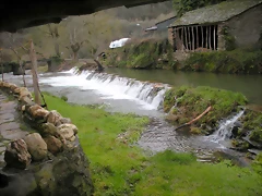 DSCN2880 DSCN2880