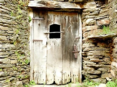 DSCN4311 DSCN4311