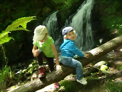 P6010200 P6010200