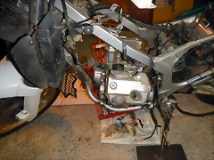 DSCN1383