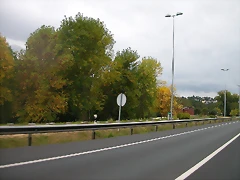 DSCN5246 DSCN5246
