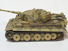 tiger9