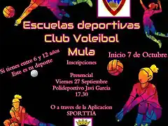 VOLEY24-1