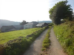 DSCN2115 DSCN2115