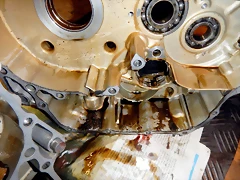 DSCN1527 DSCN1527