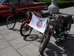 SDC15341 SDC15341