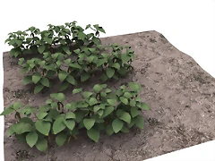 68_Planta de Soja en bajos Poligonos. Making of Low Poly Soy Plant.