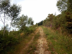 DSCN4388 DSCN4388