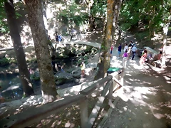 DSCN8350 DSCN8350