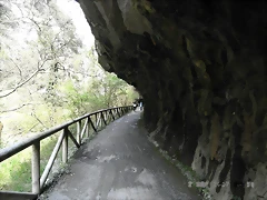 R0012415 R0012415