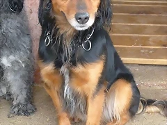 aramis5 aramis5