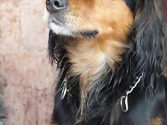 aramis3 aramis3