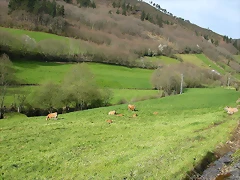 DSCN8619