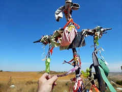 DSCN6268 DSCN6268