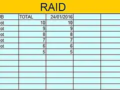 RAID 2015 16