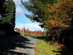 DSCN6388 DSCN6388